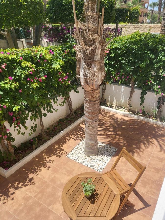 ¡Bajo Precioso Con Salida Directa A La Piscina Comunitaria En Paraiso De Vera! Exterior photo