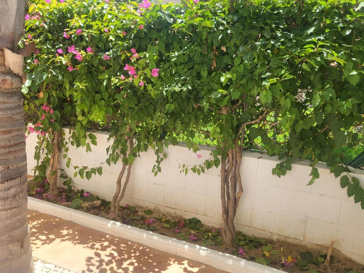 ¡Bajo Precioso Con Salida Directa A La Piscina Comunitaria En Paraiso De Vera! Exterior photo